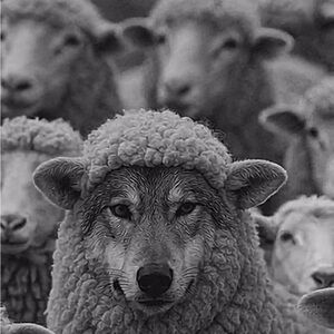 Meet your Posher, Roland